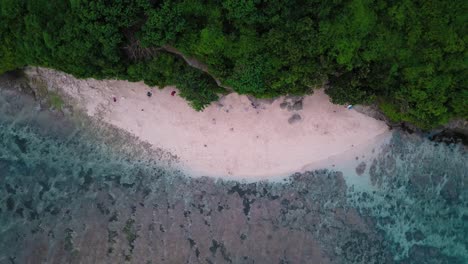 Vertical-Top-down-drone-lifting-shot-of-the-beautifull-green-forest-next-to-the-clear-blue-Indian-ocean