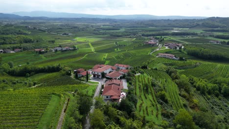 Beautiful-Scenery-of-Green-Slovenia-Countryside-Farmland,-Aerial