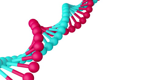 DNA-Molekül-Aus-Diagonaler-Rotation-Auf-Weißem-Hintergrund