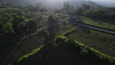 Aerial-shot-in-Bali-flying-over-peaceful-green-farmer-fields-surrounded-by-forests-on-a-mountain