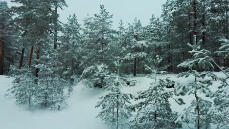 Vista-Aérea-De-árboles-Cubiertos-De-Nieve-Y-Bosque-Nevado,-En-Un-Día-Oscuro,-Nublado,-De-Invierno