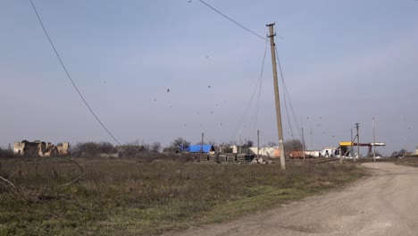 Un-Asesinato-De-Cuervos-Vuela-Sobre-Una-Gasolinera-Destruida-Y-Edificios-En-El-Pueblo-De-Posad-pokrovs&#39;ke,-El-Centro-De-Los-Combates-Más-Feroces-Entre-Las-Tropas-Ucranianas-Y-Rusas-Al-Comienzo-De-La-Guerra