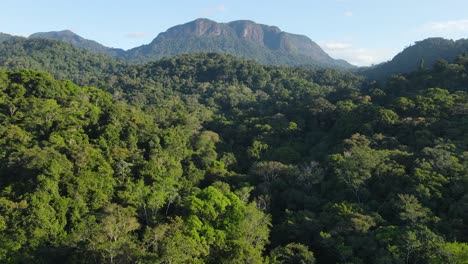 Aerial-View,-Jungle-of-Guyana,-Amazon-Basin