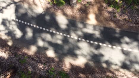 Birdseye-drone-shot-of-tree-shadows-on-a-forest-road