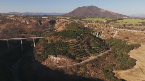 Huerta-De-Aguacate-En-La-Colina-En-La-Carretera-Nacional-54-Cerca-Del-Pueblo-De-Platanar
