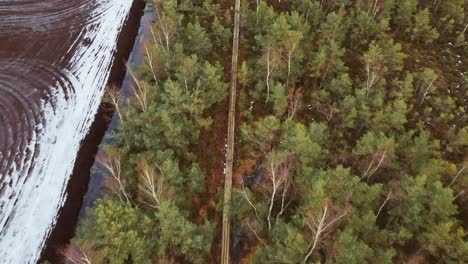Endless-straight-line-of-wooden-pathway-in-winter-forest,-aerial-view