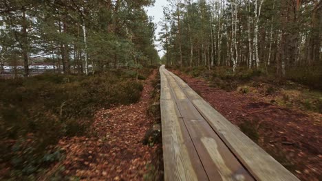 Aerial-drone-quick-dolly-out-view-revealing-forest-wooden-path-without-people-in-daylight