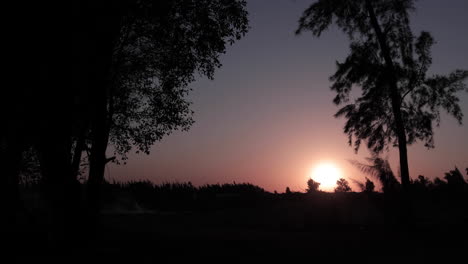 Sonnenuntergang-Im-Wald---Zeitraffer---Feste-Kamera