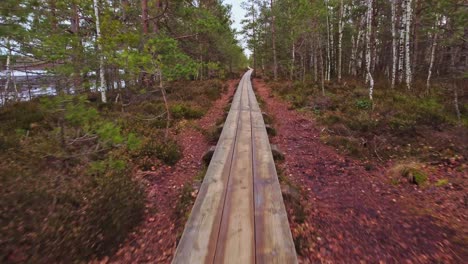 Fast-drone-flight-over-a-wooden-plank-road-to-walk-through-a-forest-interior