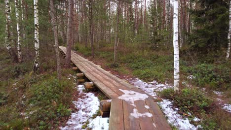 Drone-flying-forwards-over-wooden-planks-trail-in-the-middle-of-forest-with-snow