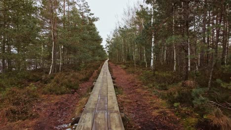 Endless-wooden-pathway-in-middle-of-dense-forest,-moving-forward