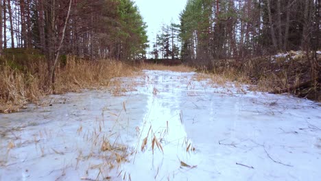 Frozen-forest-ditch-with-reflective-crystal-ice,-low-angle-drone-view