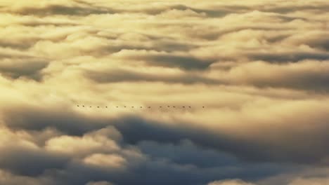 Cinematic-golden-sunset-aerial-above-thick-clouds,-birds-flying-in-formation