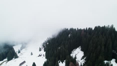 Dichter-Nebel-über-Dem-Schneebedeckten-Kiefernwald