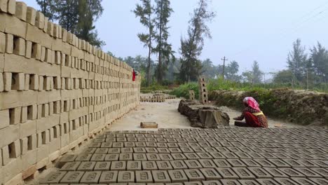 The-brick-industry-developed-around-the-alluvial-soil-along-the-Ganga-River