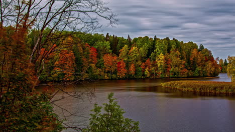 Autumnal-foliage-in-forest-along-lake-or-river-shores