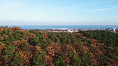 Serene-autumn-forest-and-panorama-of-Sopot-city-in-Poland,-aerial-view