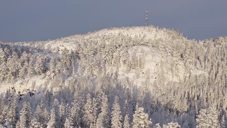 Schneelandschaft,-Waldberge-Mit-üppigen-Kiefern-An-Einem-Sonnigen-Wintertag