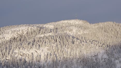 Paisaje-Invernal-Con-árboles-Forestales-Cubiertos-De-Nieve-Sobre-Las-Montañas