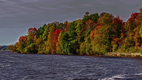 Vom-Wind-Gewellte-Flussoberfläche-Mit-Bunten-Bäumen-Im-Herbstlaub