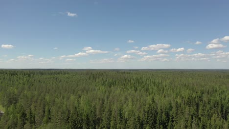 Hermosa-Antena-De-Bosques-Interminables-En-Finlandia