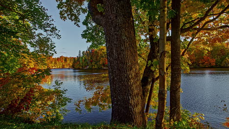 Timelapse-of-a-lake-in-an-autumn-forest-with-green,-yellow-and-orange-leaves-on-a-sunny-day