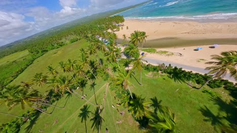 FPV-drone-flight-through-palm-trees-along-beach-in-Arroyo-Salado-Cabrera
