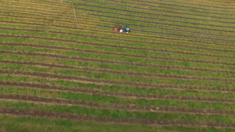 Tractor-farming-in-an-agricultural-field-Aerial-View