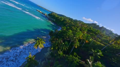 Aerial-fpv-flight-over-exotic-palm-trees,-sandy-beach-and-rocky-coastline-with-clear-water---Playa-Breton,Dominican-Republic