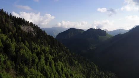 Mountain-slopes-covered-in-dense-forest,-aerial-drone-view