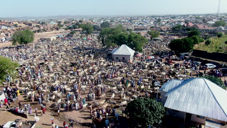 Gombe,-Nigeria-cattle-market---aerial-flyover