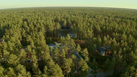 Luxury-private-living-buildings-in-dense-conifer-forest,-aerial-drone-view
