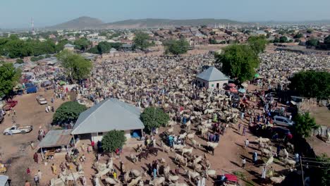 The-main-cattle-market-in-Gombe,-Nigeria---aerial-orbiting-view