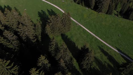 Mountain-road-surrounded-by-forest,-aerial-drone-orbit-view