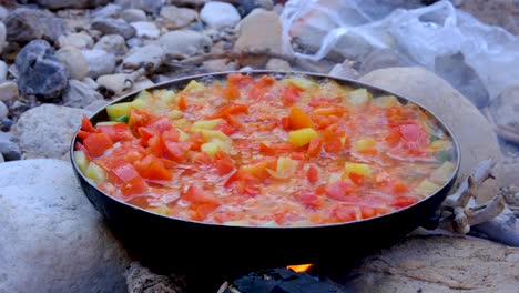 Vegetable-stew-of-potatoes,-tomatoes,-onion-and-garlic-simmering-and-cooking-on-a-open-campfire-in-natural-outdoors-environment-at-camp