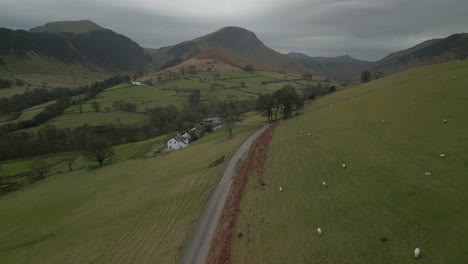 Flying-above-hillside-road-with-sheep-in-field-and-distant-mountains-in-English-Lake-District-UK