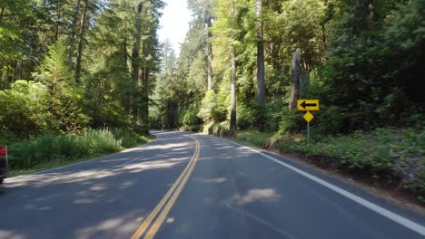 Fahrt-Auf-Dem-Redwood-Highway