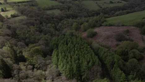 Aerial-footage-flying-over-dense-forest,-green-fields-and-rolling-hills