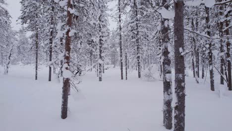 hiking-through-wintery-landscape-in-lapland