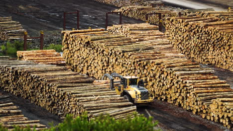 Heavy-equipment-moving-logs-in-storage-area,-view-from-above