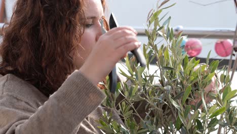 Woman-with-brown-curly-hair-is-looking-down-while-cutting-a-olive-tree-for-the-summer-season-with-a-secateurs-on-a-balcony-with-lots-of-plants-during-springtime