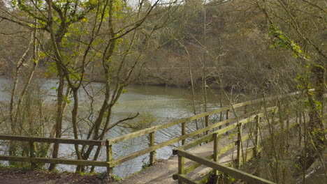 Friedliche-Natur-Mit-Holzbrücke-über-Den-Fluss