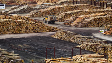 Wheel-loader-transporting-logs-from-piles-in-yard-of-sawmill