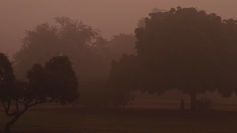 misty-sunrise-at-morning-from-flat-angle