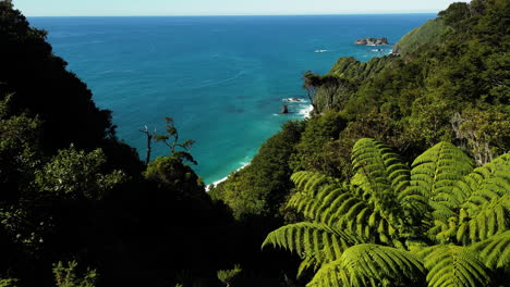 Malerische-Luftaufnahme-Der-Westküste-Neuseelands.-Die-Drohne-Zeigt-Meereswellen-Bei-Sonnigem,-Klarem-Himmel-über-Einer-Klippe-Mit-Grüner,-üppiger-Natürlicher-Vegetation