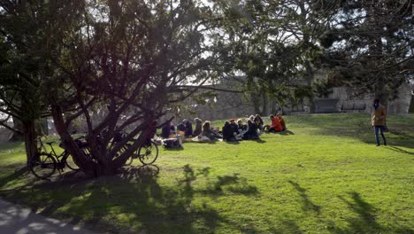 Grupo-De-Amigos-Sentados-Juntos-En-El-Parque-Kungsparken,-Destino-De-Picnic-En-Gotemburgo,-Suecia