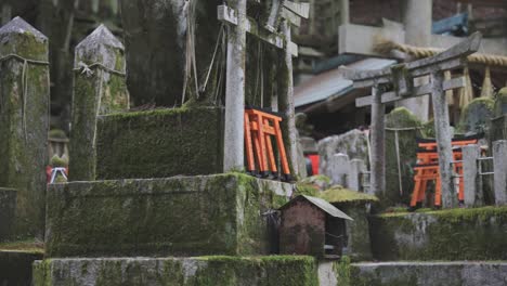 Moss-Covered-Shrine-in-Kyoto-Japan,-Panning-Rack-Focus-Reveal