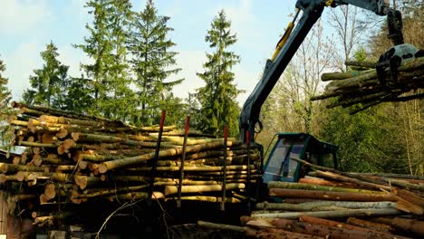 Machinery-is-unloading-wood-logs-to-the-ground
