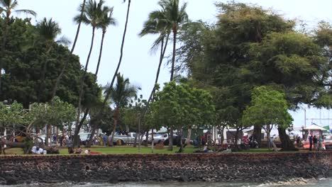 People-in-the-park-in-Lahaina,-Maui,-Hawaii