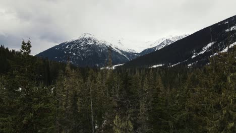 Vuelo-Lento-Sobre-El-Bosque-Cerca-Del-Lago-Duffey-En-Columbia-Británica,-Canadá